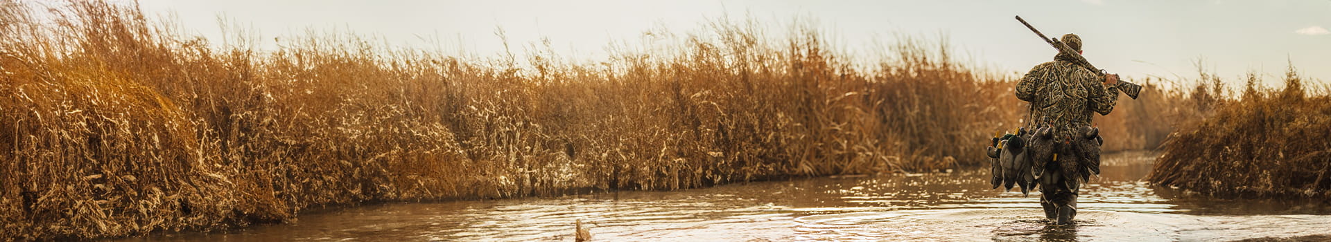 Man walking in marsh with SX4 and decoys